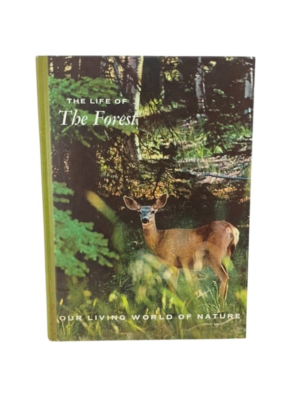 The Life Of The Forest Hardcover Book 1966 McGraw-Hill Nature Series Illustrated